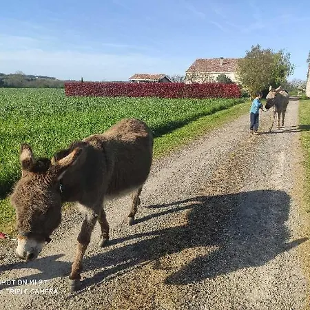 Les Cardoux Lägenhet Serres-et-Montguyard